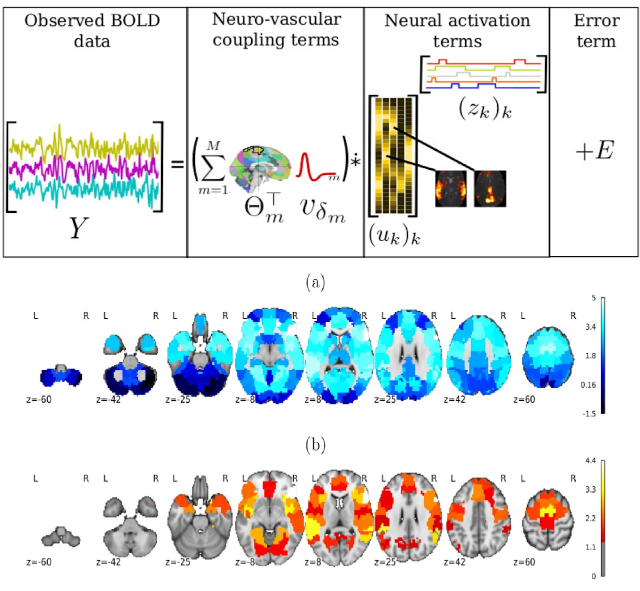 Functional MRI diagram